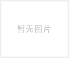 BR125黑体标准源